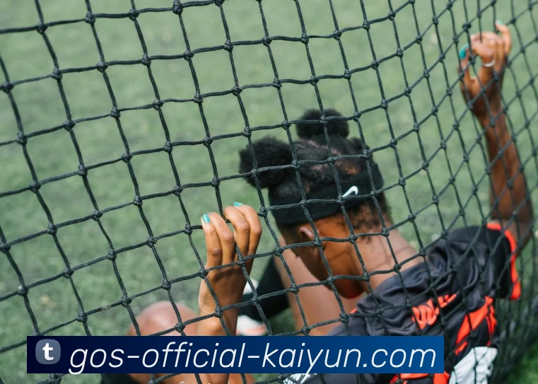 开云官网发展历程